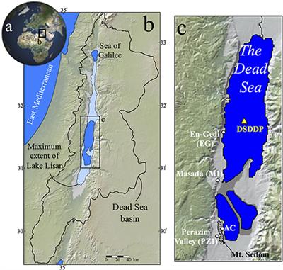 Rates and Cycles of Microbial Sulfate Reduction in the Hyper-Saline Dead Sea over the Last 200 kyrs from Sedimentary δ34S and δ18O(SO4)